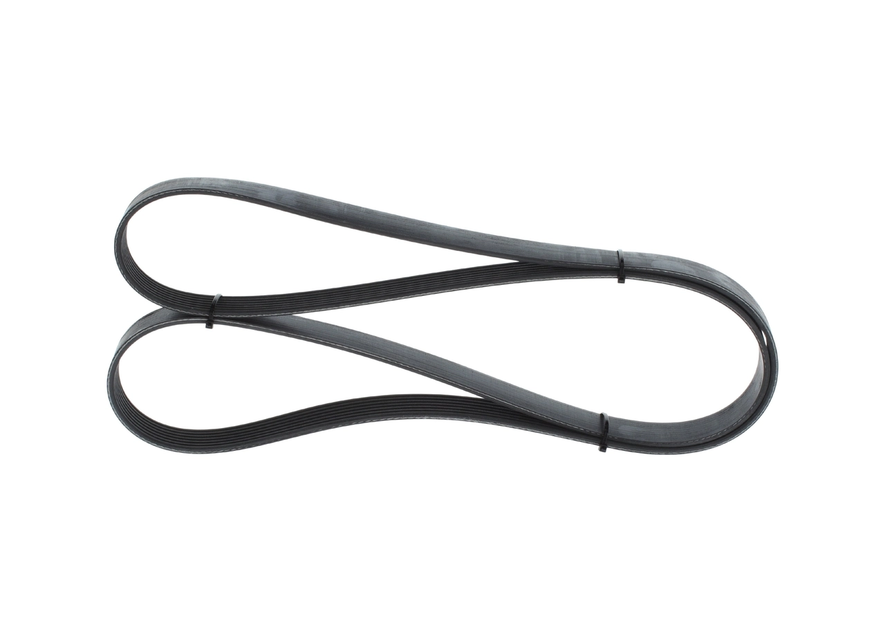 V-Ribbed Belt 1 987 946 256