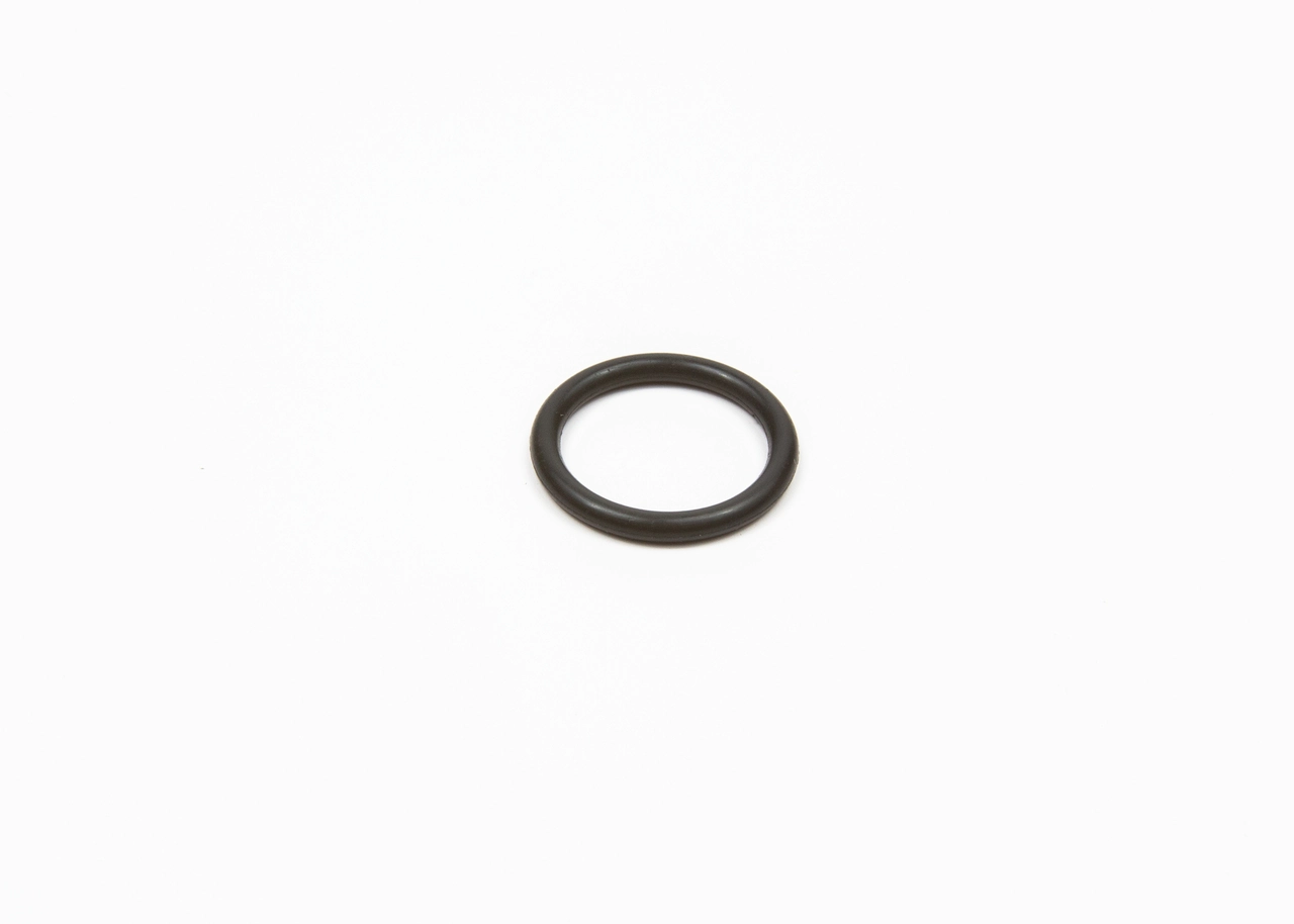 BOSCH F 00R J01 482 Rubber Ring
