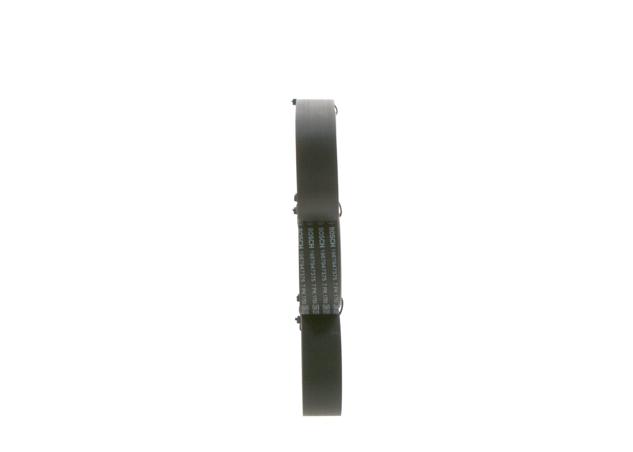 V-Ribbed Belt 1 987 947 375