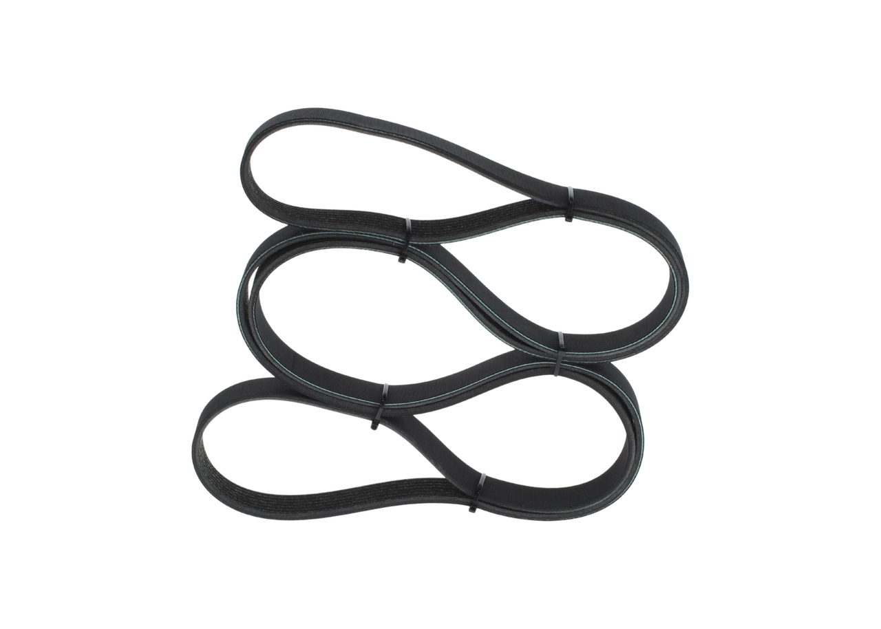 V-Ribbed Belt 1 987 946 263