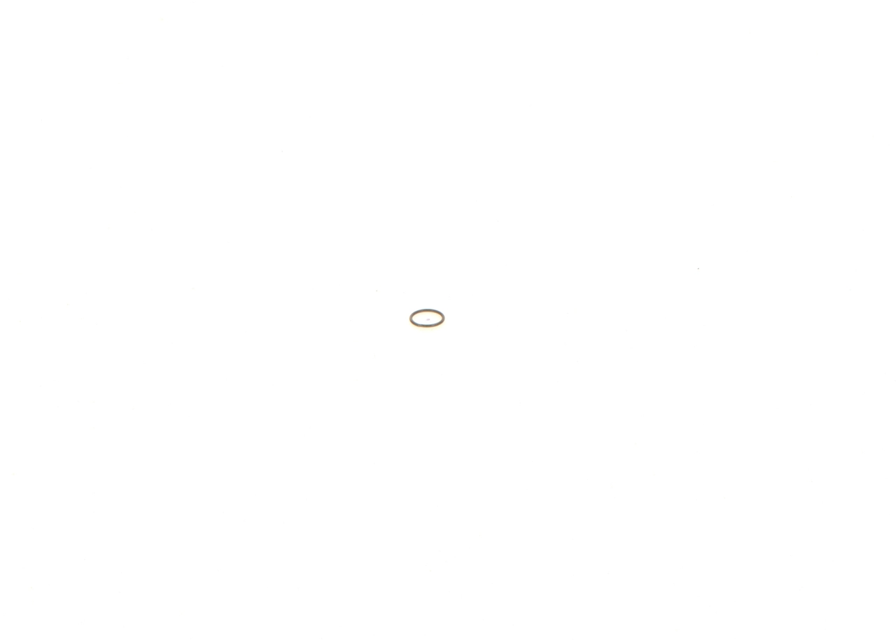 BOSCH 1 410 227 001 Seal Ring
