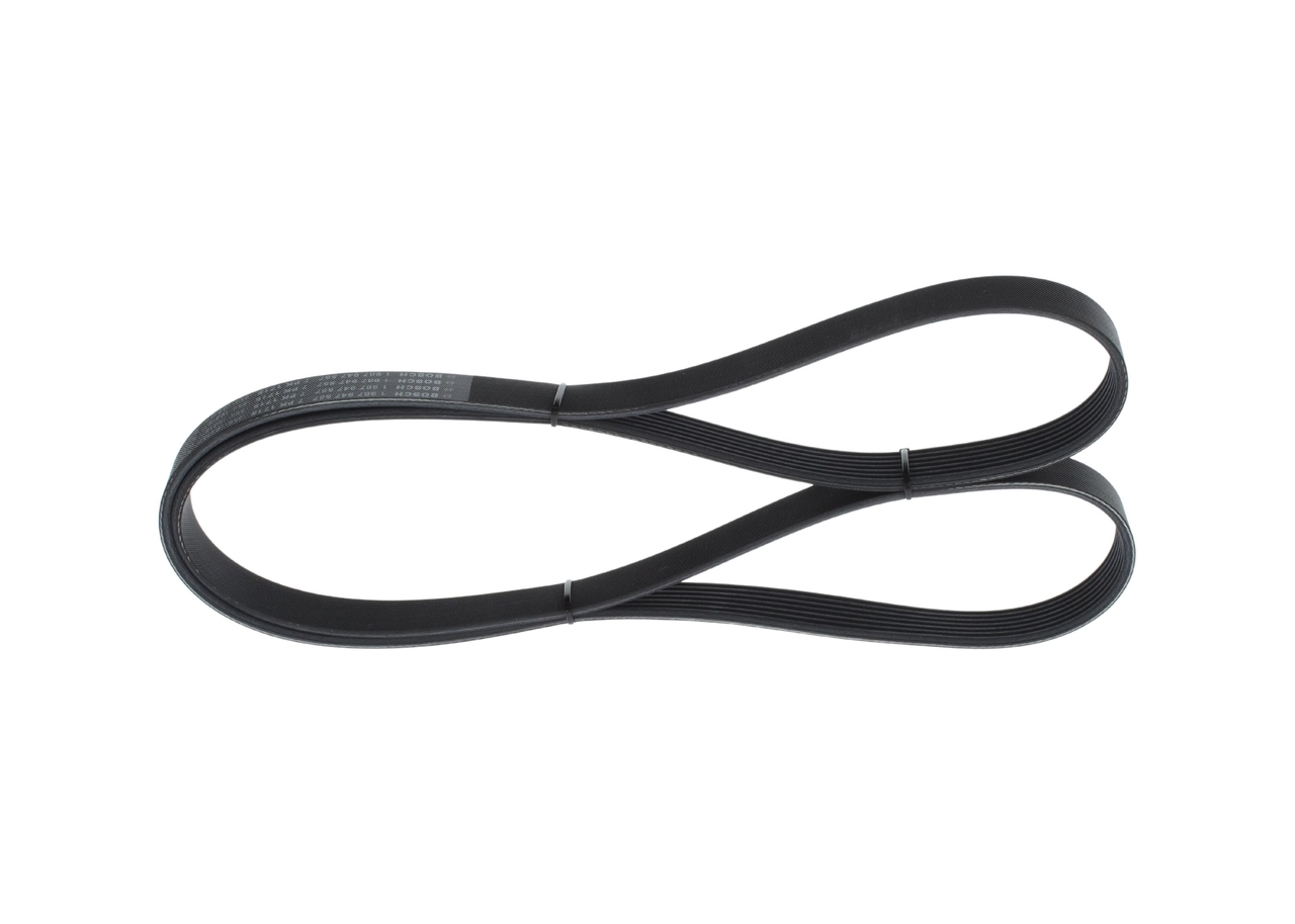 V-Ribbed Belt 1 987 947 557
