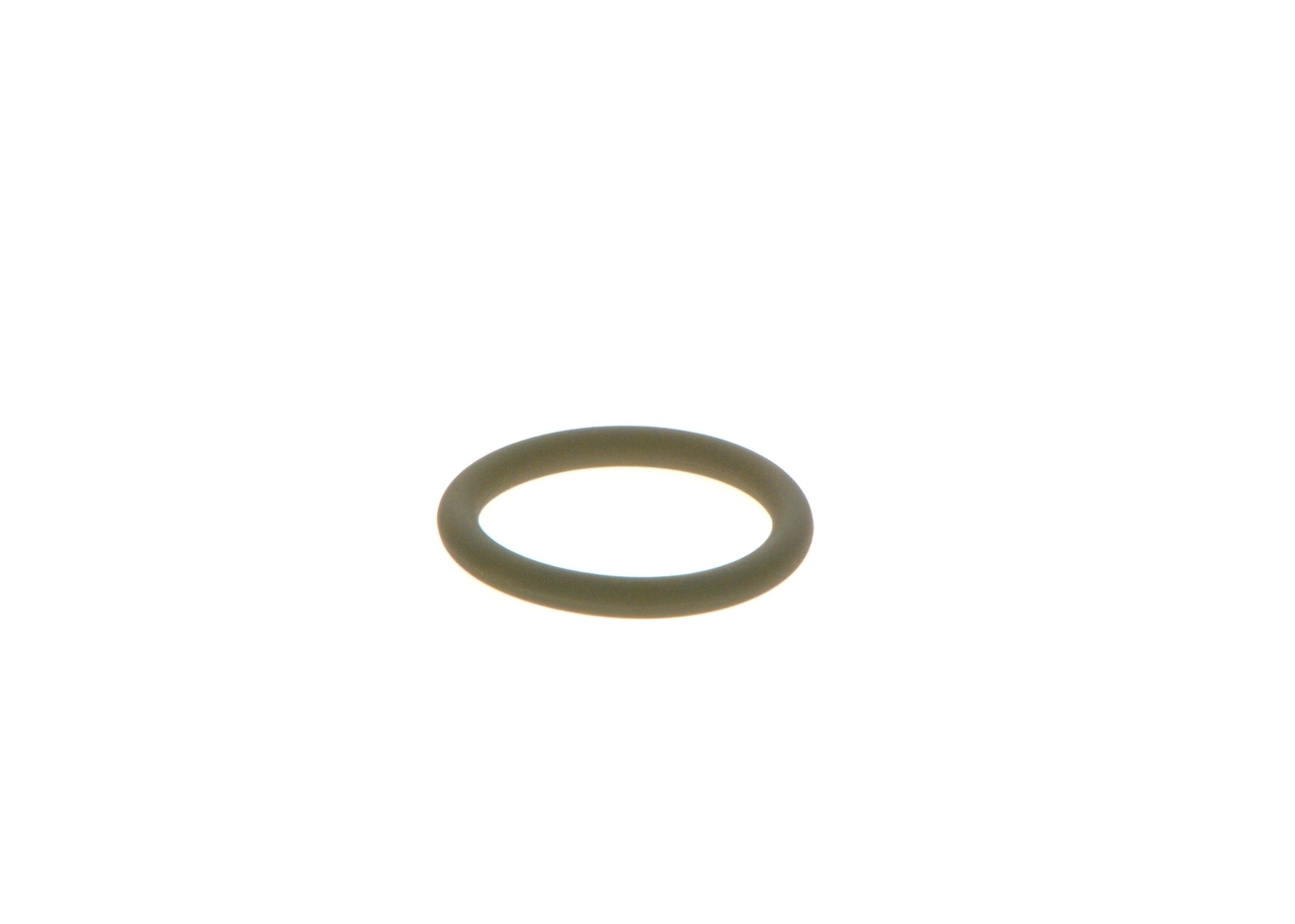 Rubber Ring F 00R J03 115
