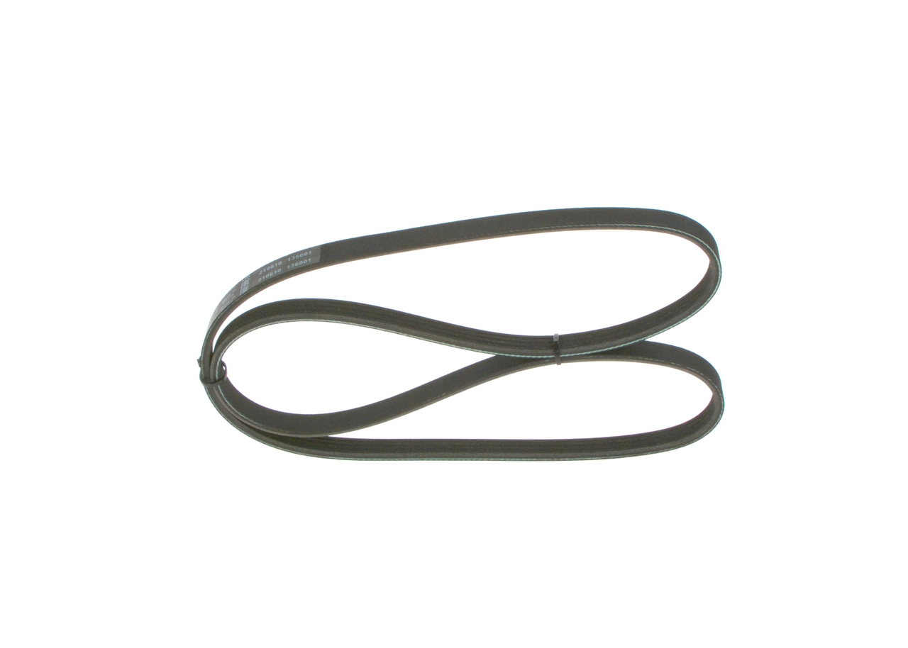 V-Ribbed Belt 1 987 946 008