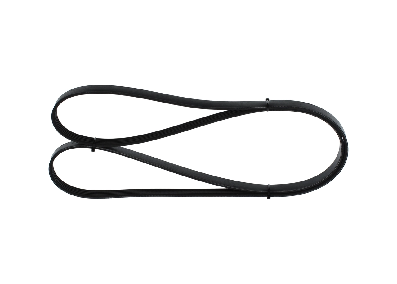 V-Ribbed Belt 1 987 946 238