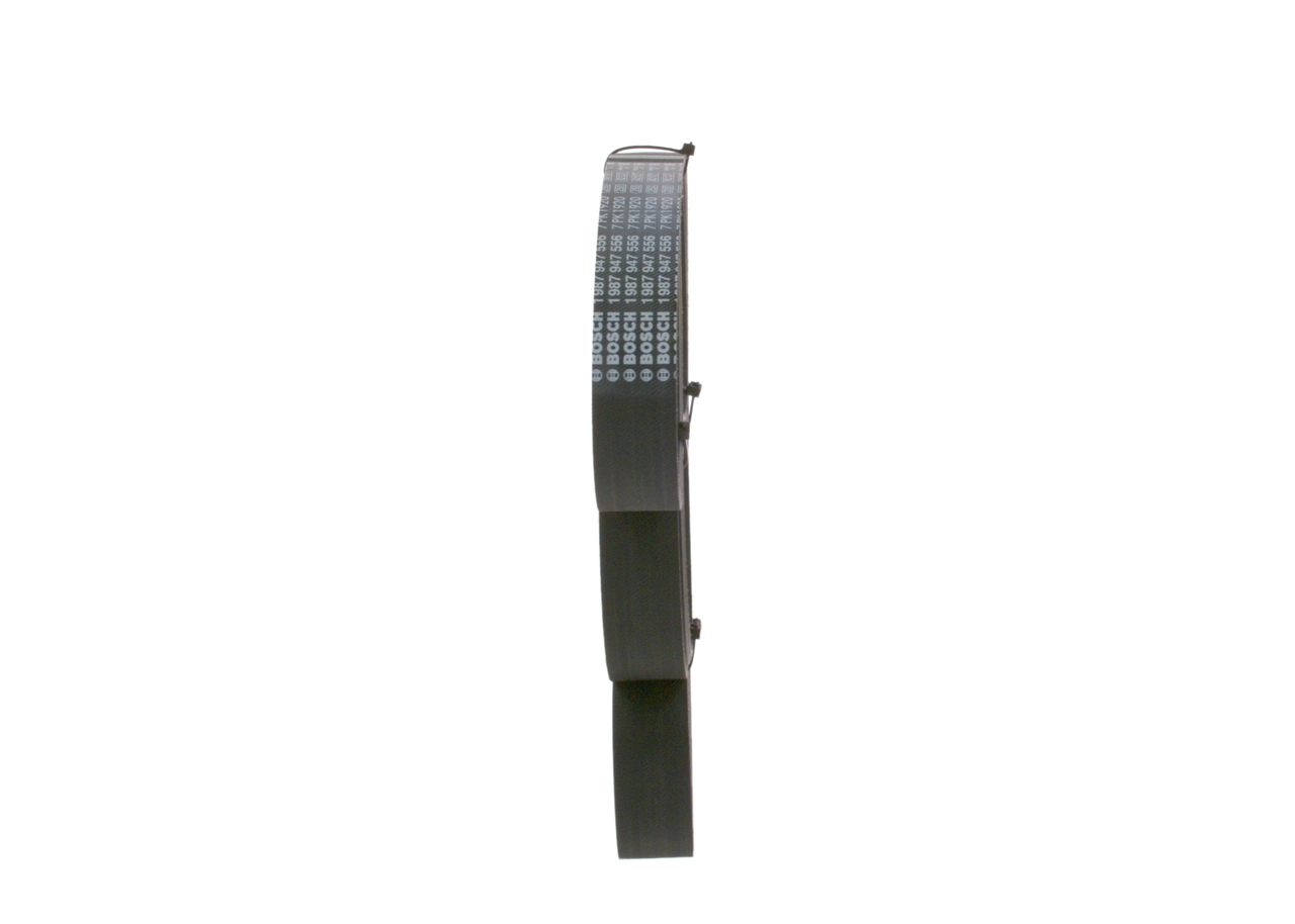 V-Ribbed Belt 1 987 947 556