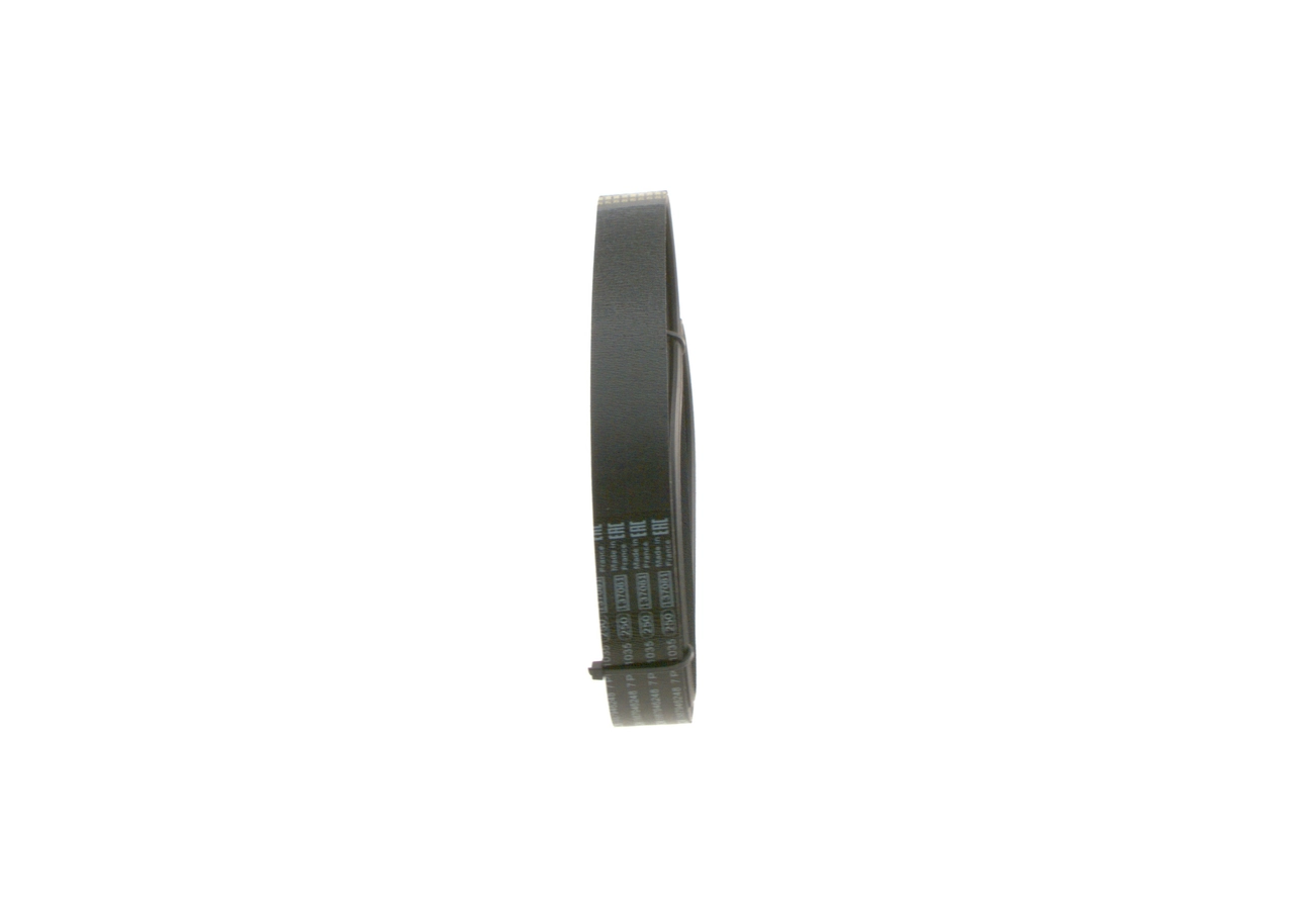 V-Ribbed Belt 1 987 946 248