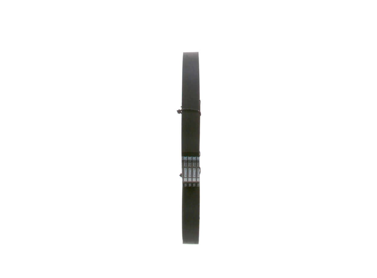 BOSCH 1 987 946 262 V-Ribbed Belt