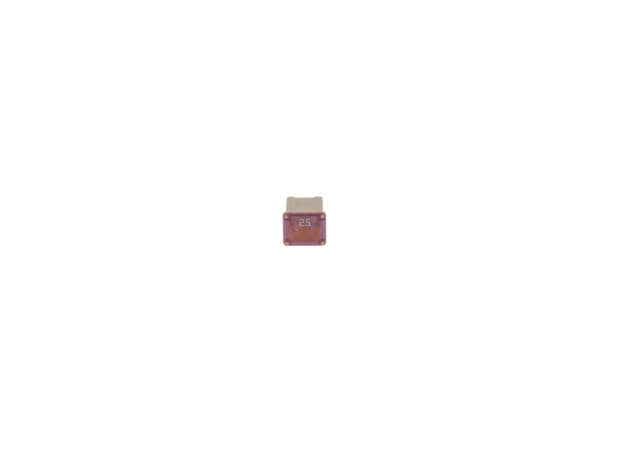BOSCH 1 987 529 051 Fuse