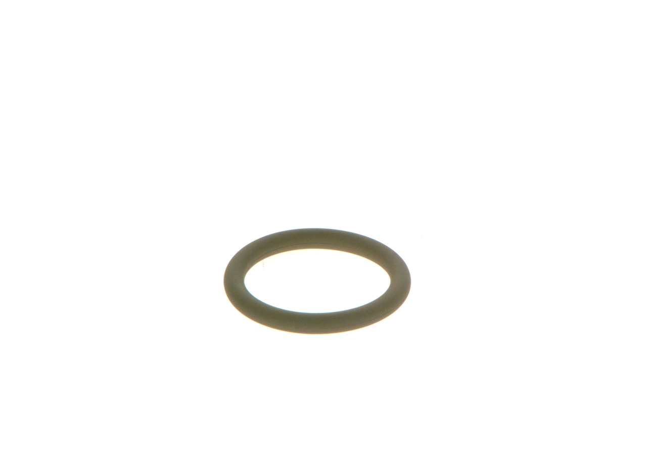 Rubber Ring F 00R J03 115