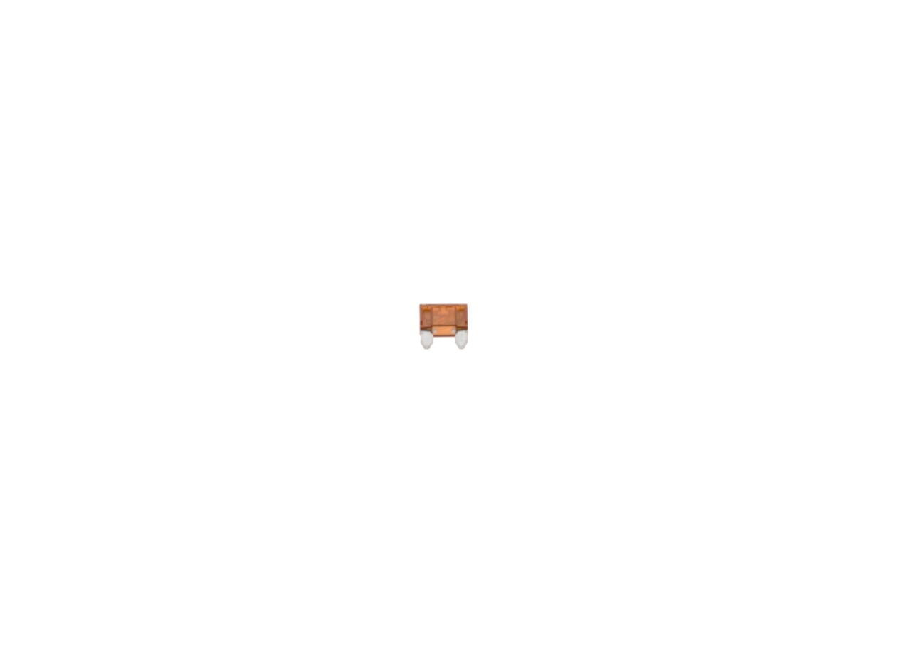 BOSCH 1 987 529 029 Fuse