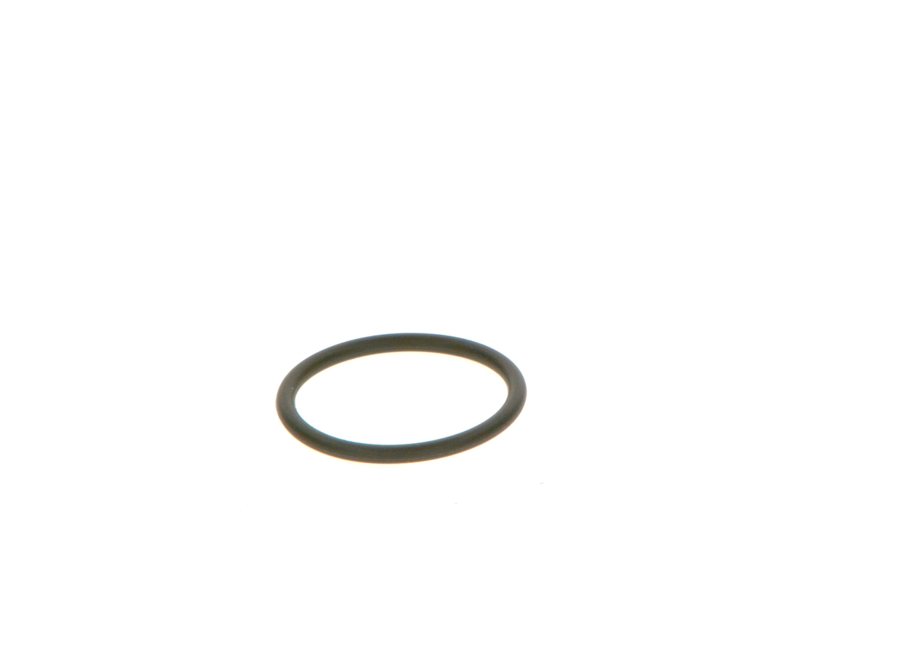 Rubber Ring F 00V C38 042