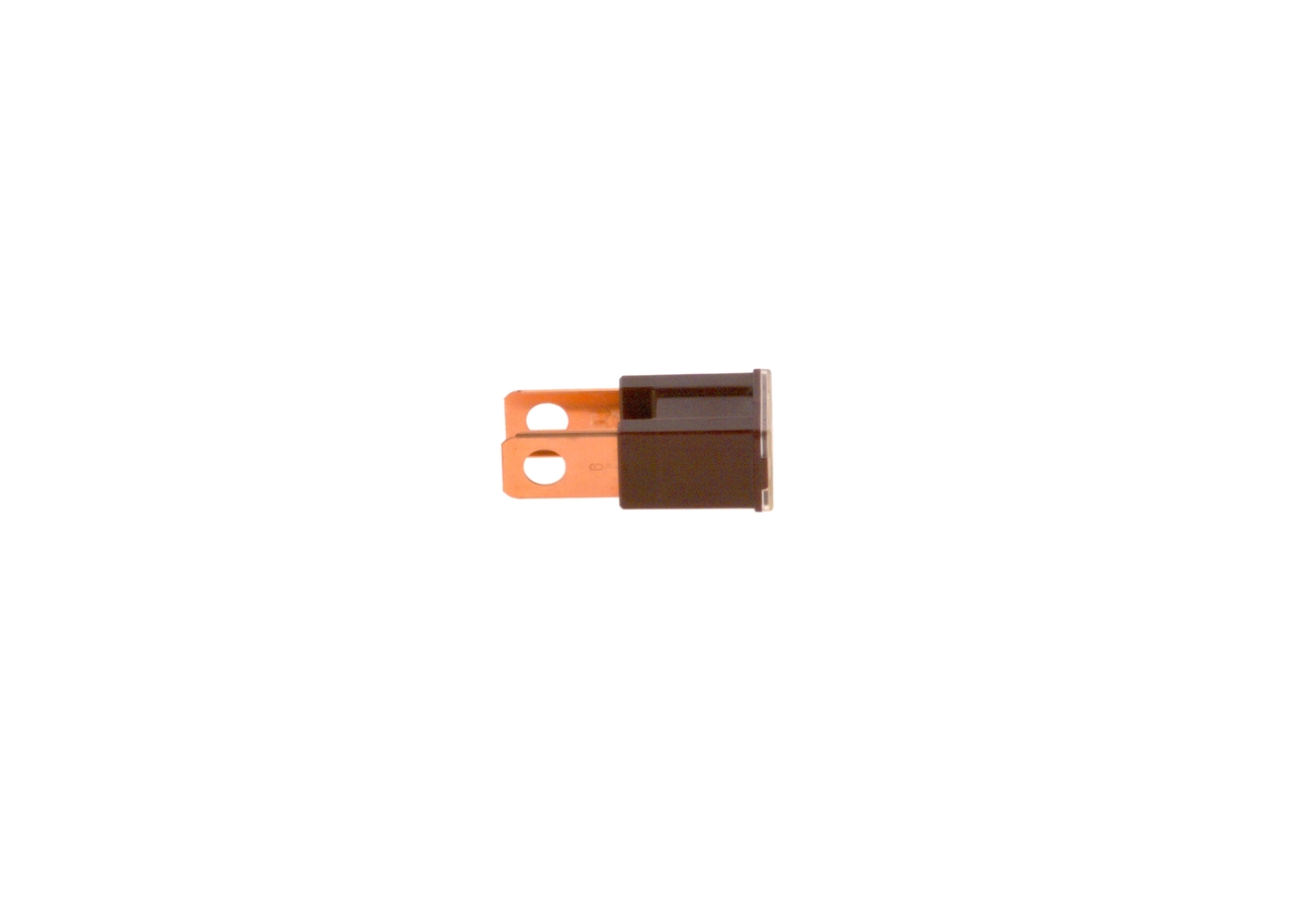 BOSCH 1 987 529 076 Fuse
