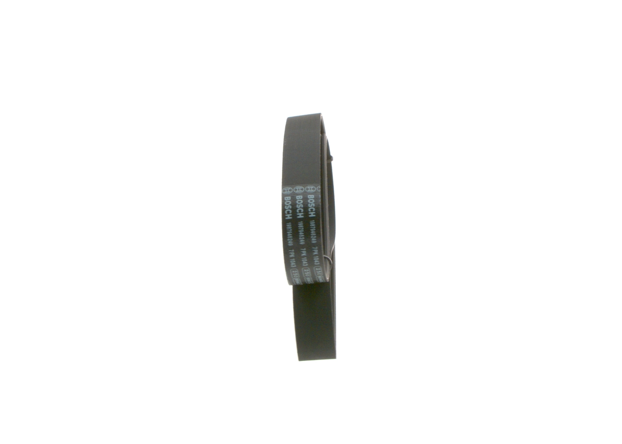 V-Ribbed Belt 1 987 946 249
