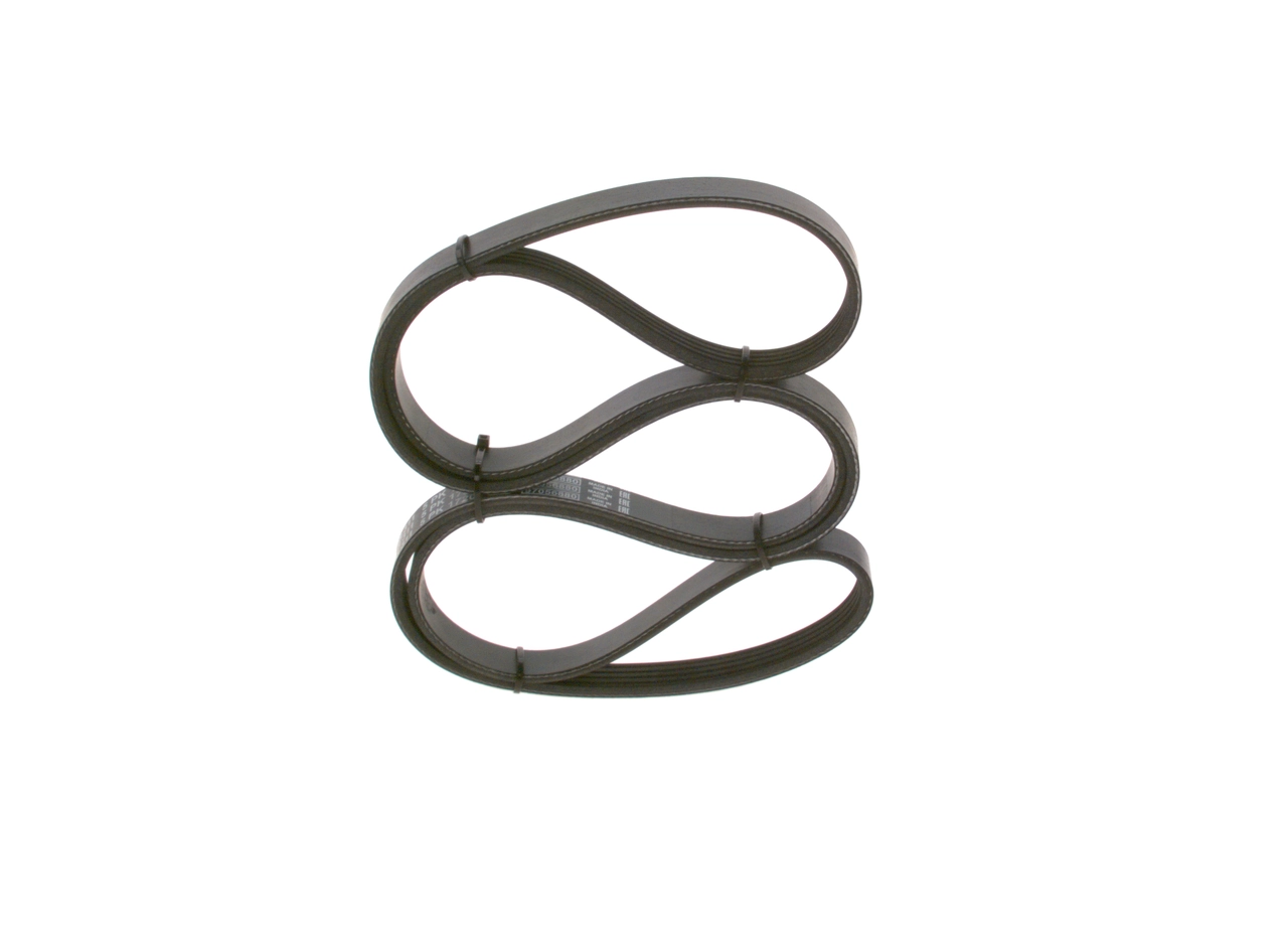 V-Ribbed Belt 1 987 948 311