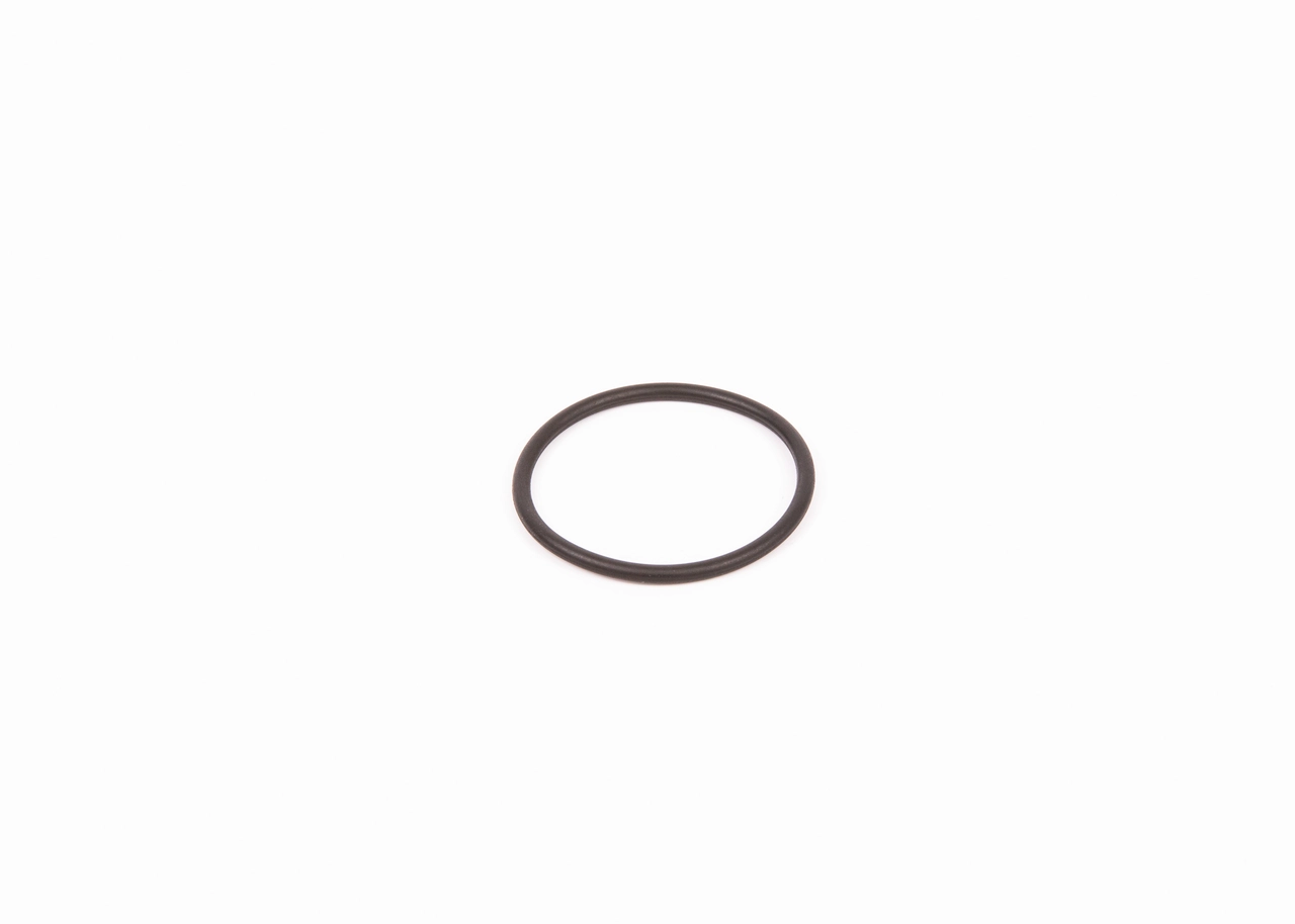 Rubber Ring F 00R 0P0 166