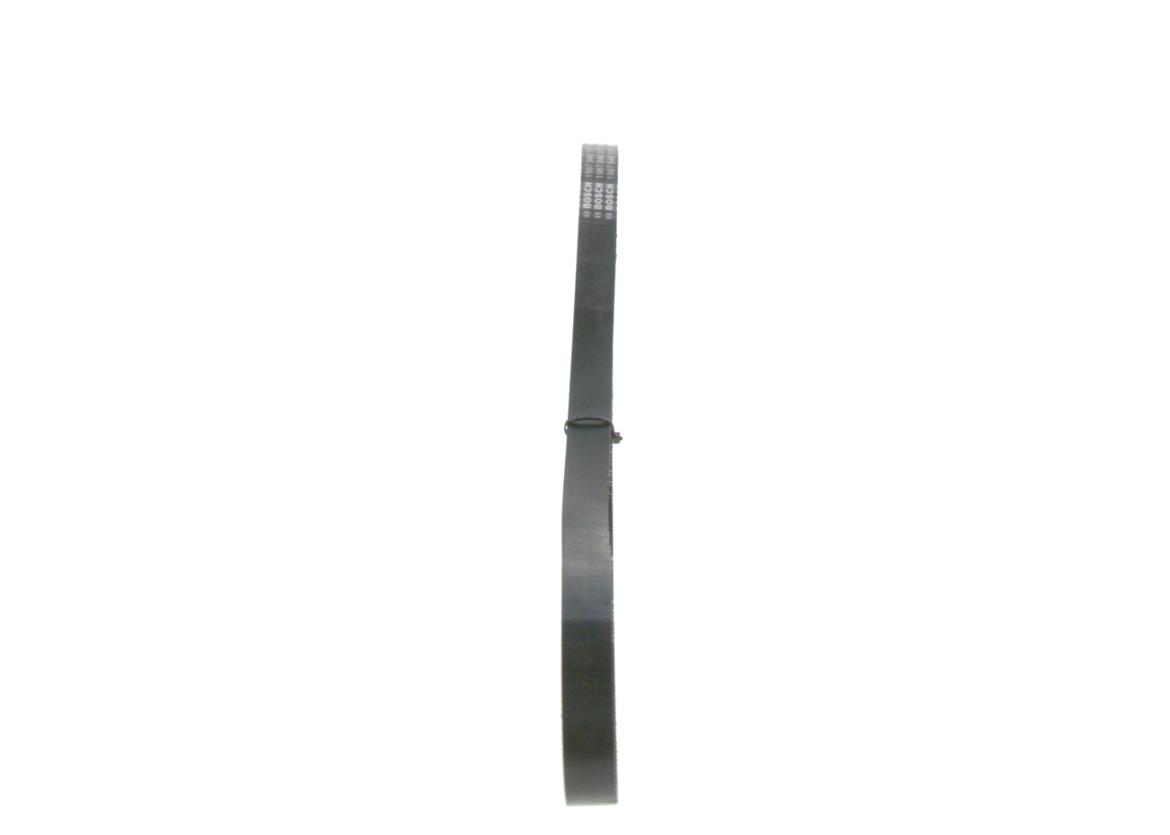 BOSCH 1 987 946 117 V-Ribbed Belt