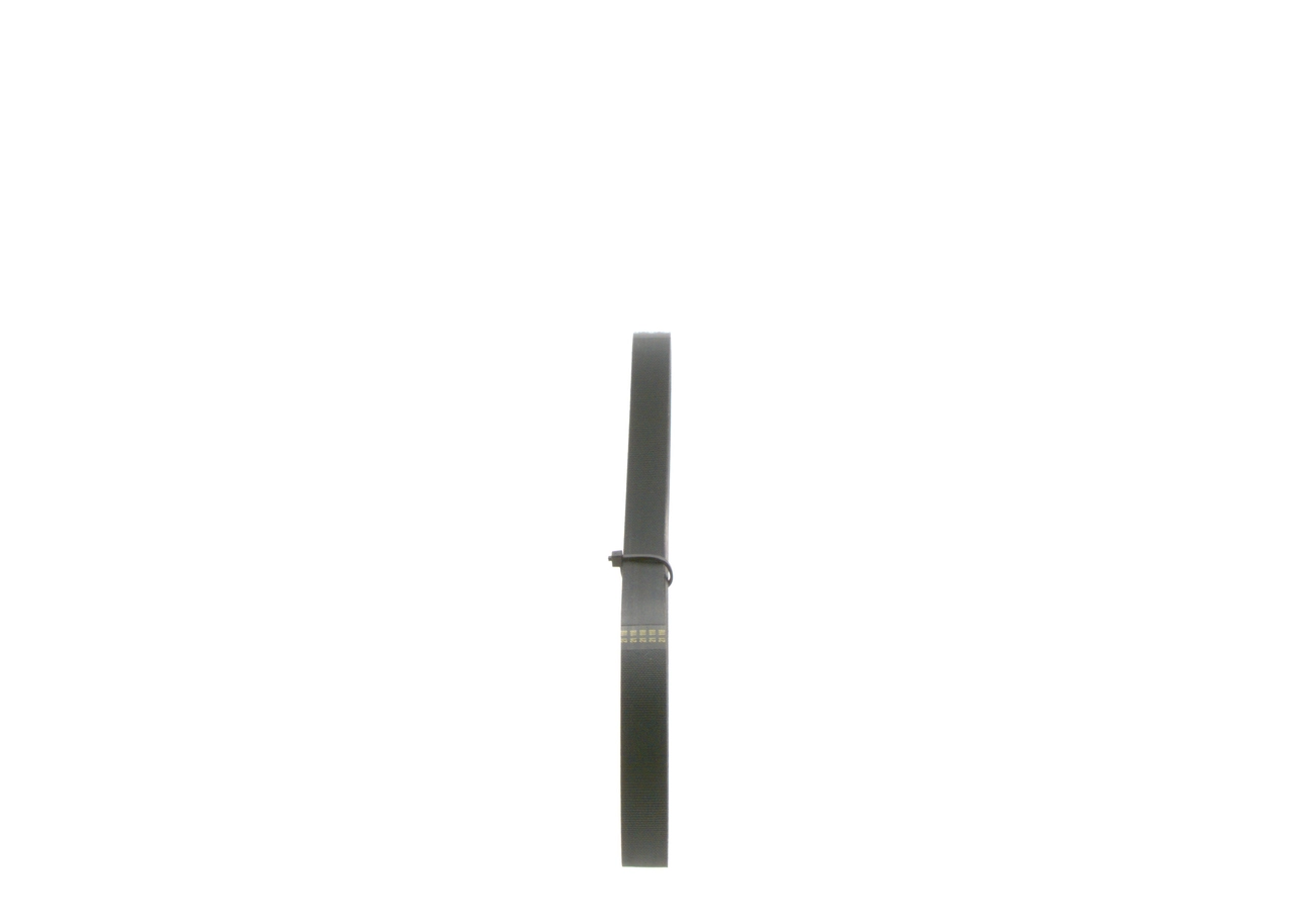 V-Ribbed Belt 1 987 946 010