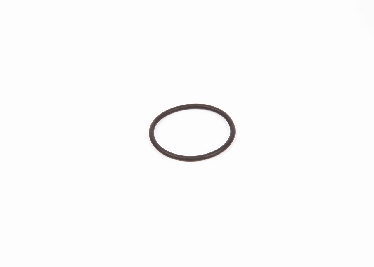 Rubber Ring F 00R 0P0 166
