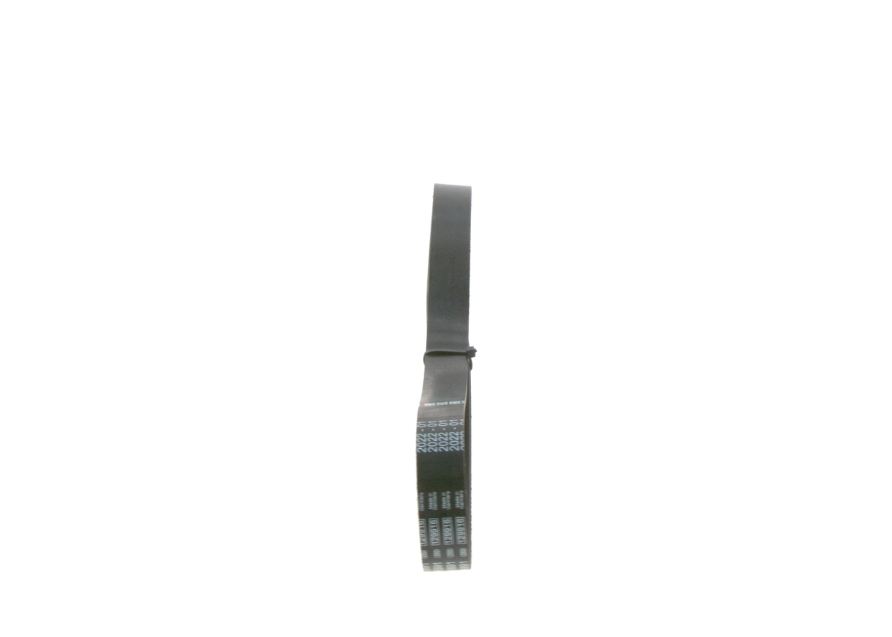 V-Ribbed Belt Elastic 1 987 946 131