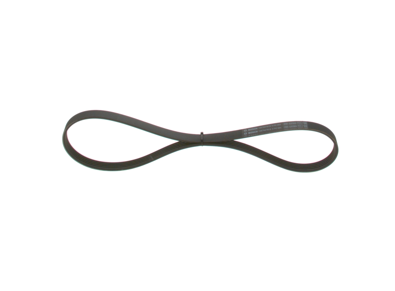 V-Ribbed Belt 1 987 947 919