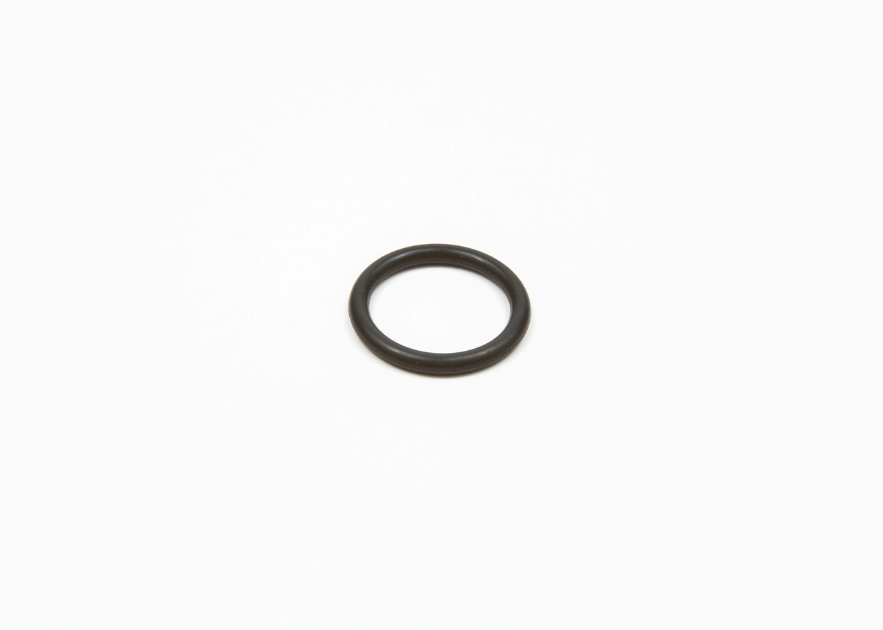 BOSCH F 00R J01 482 Rubber Ring