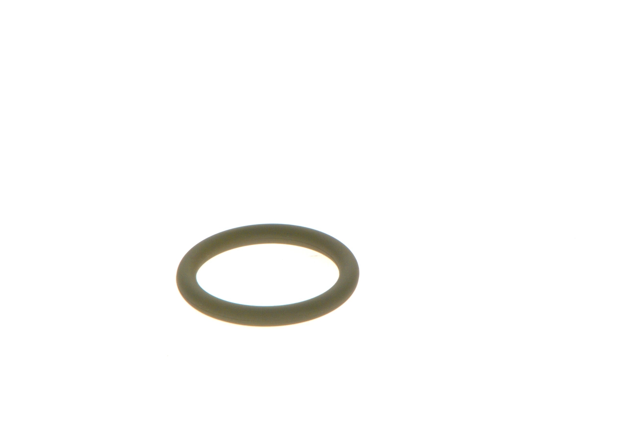 Rubber Ring F 00R J03 115