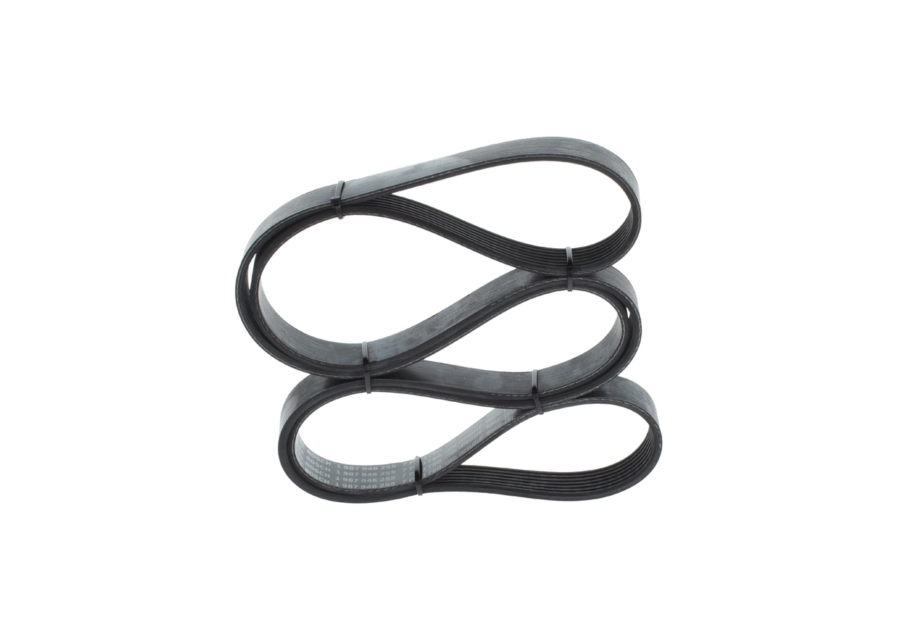 V-Ribbed Belt 1 987 946 255