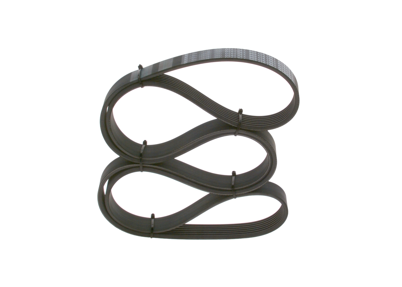 V-Ribbed Belt 1 987 947 556