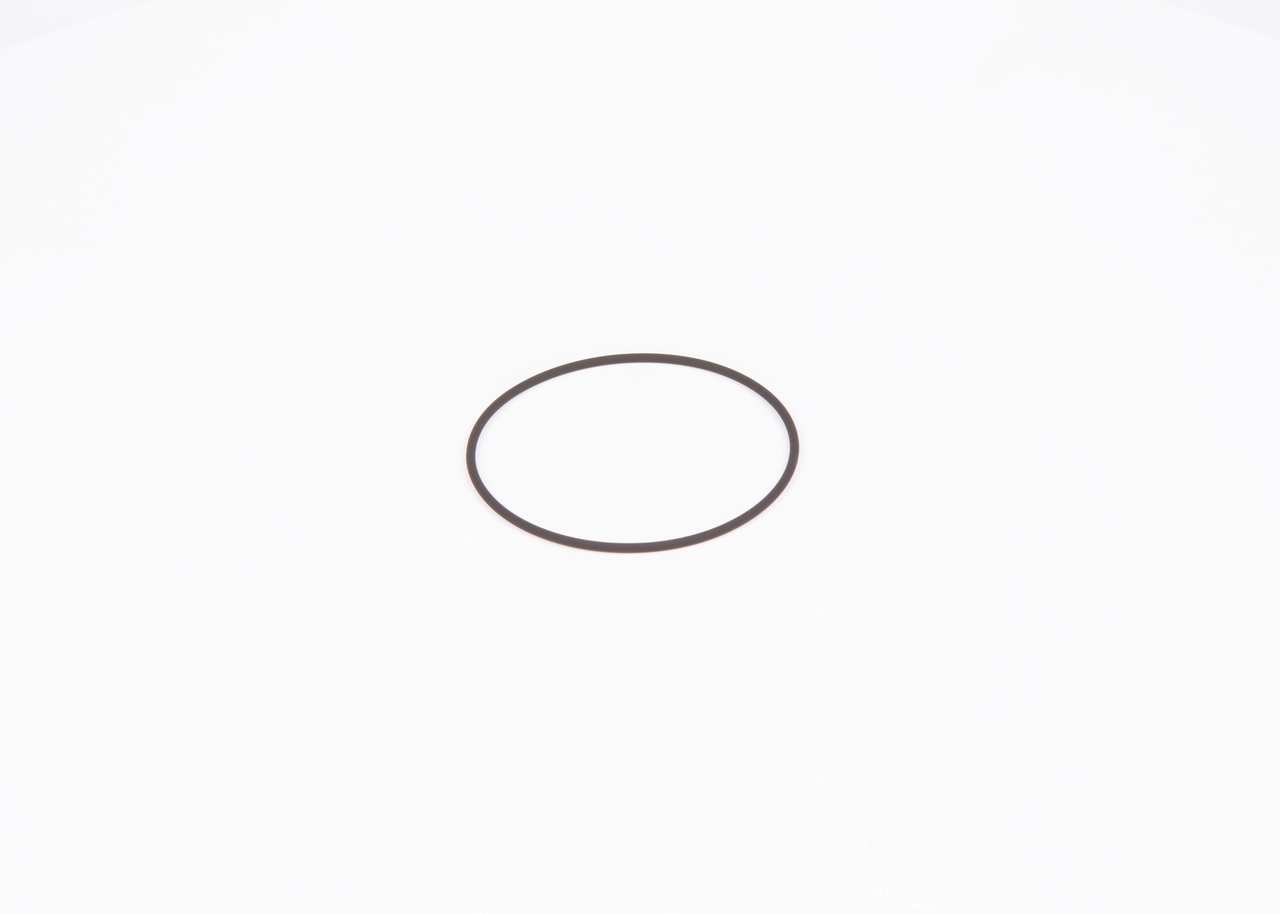 BOSCH F 01M 100 371 Seal Ring