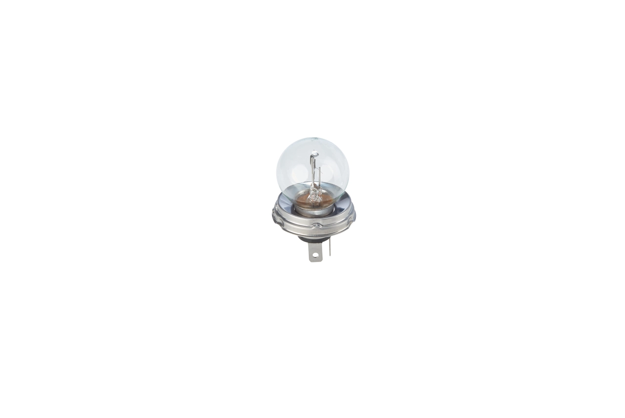 Bulb, spotlight Pure Light WS 1 987 302 023