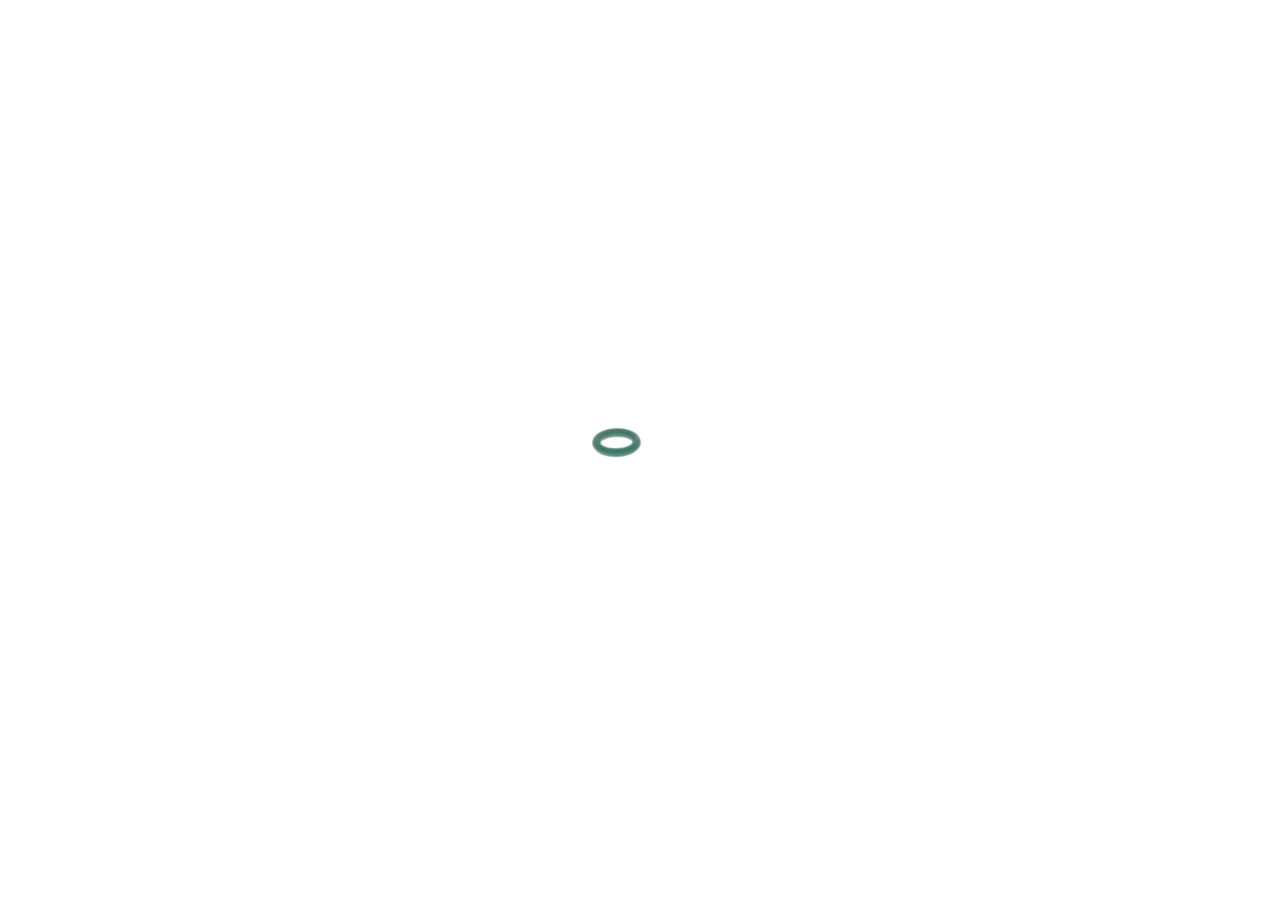 BOSCH 2 440 210 002 Rubber Ring