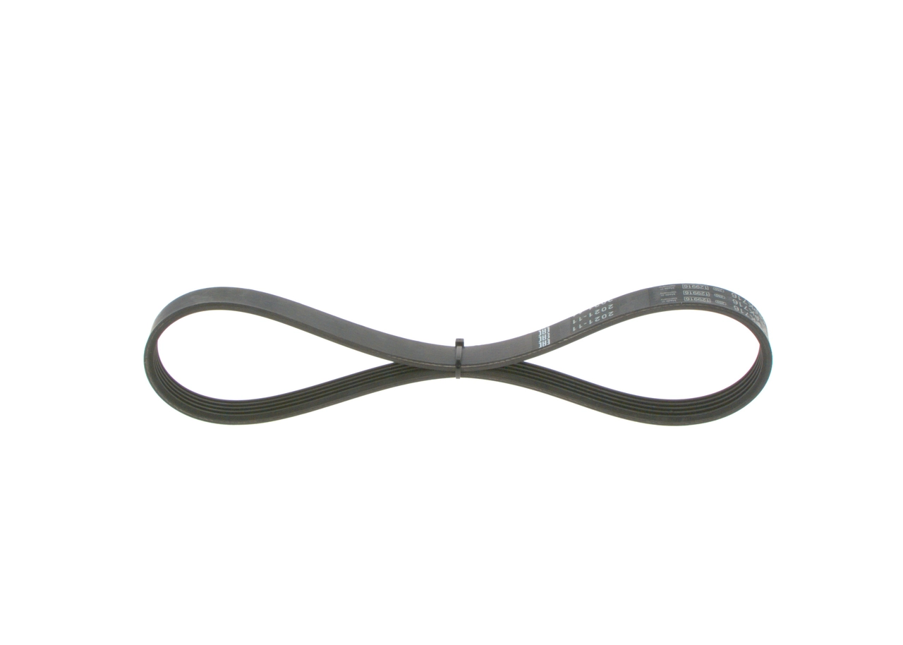 V-Ribbed Belt 1 987 946 149