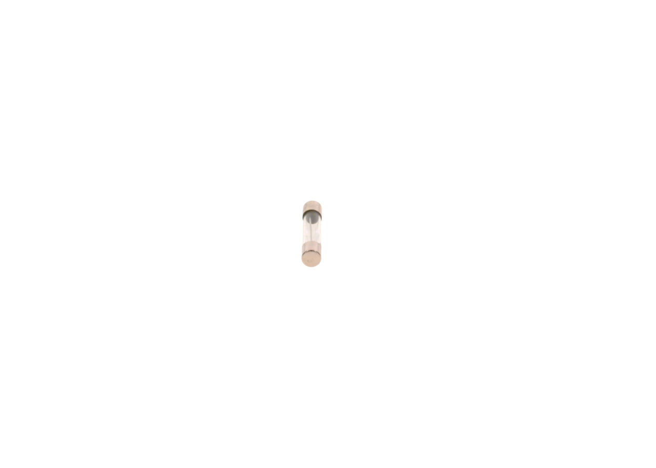 BOSCH 1 987 529 902 Fuse