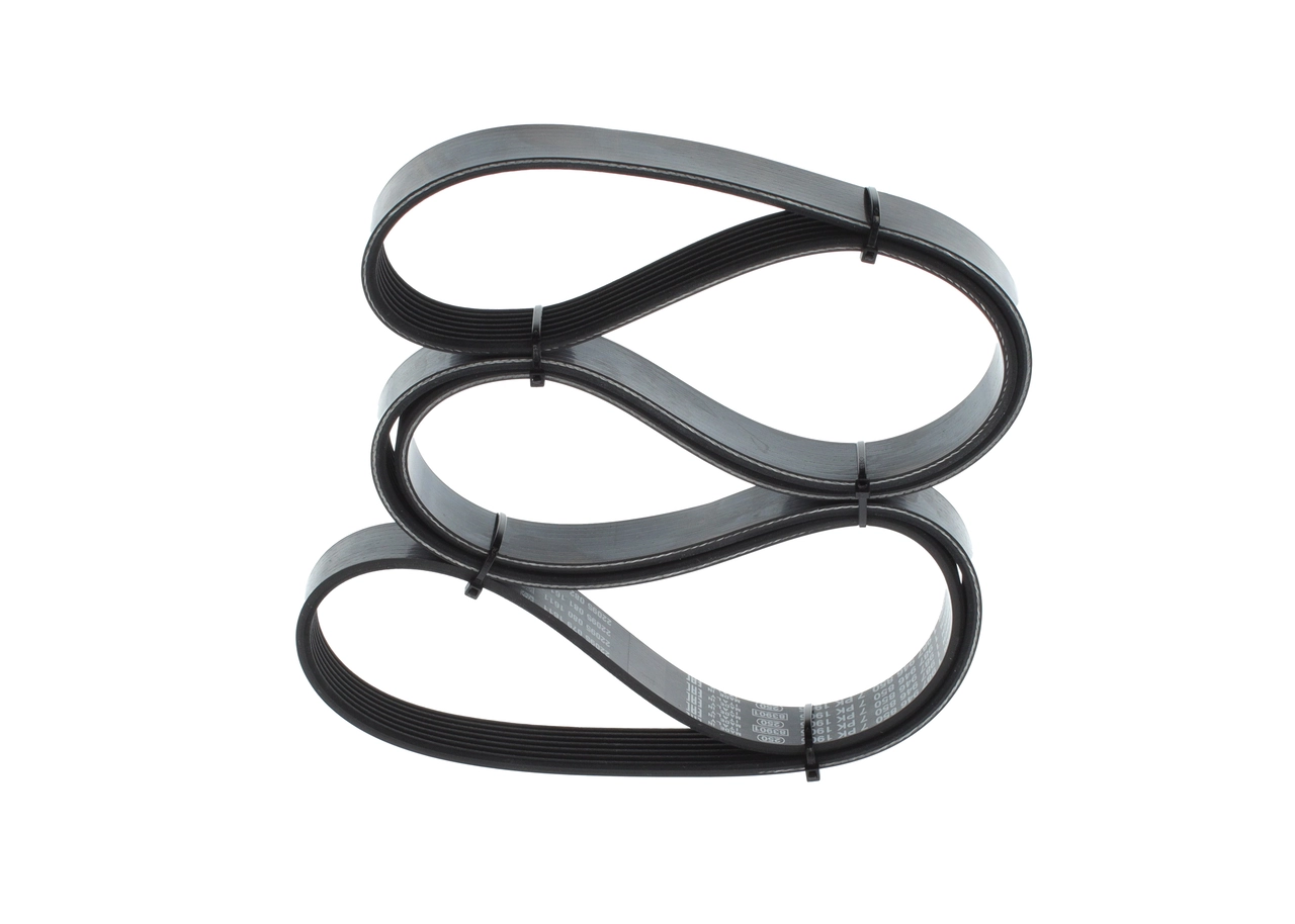 V-Ribbed Belt 1 987 946 850