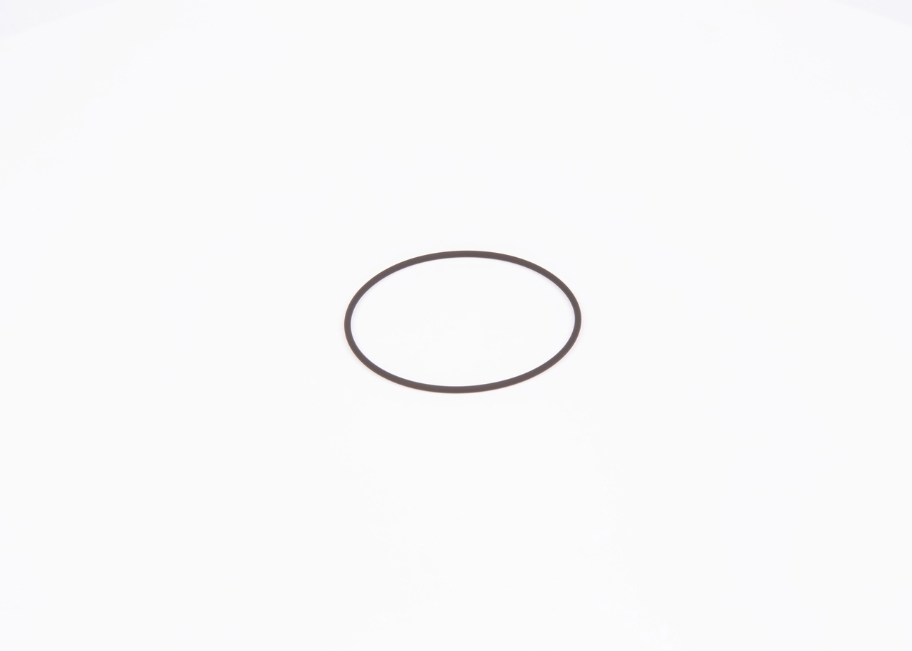 BOSCH F 01M 100 371 Seal Ring