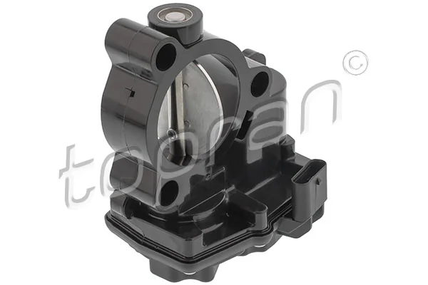 Throttle Body 504 199