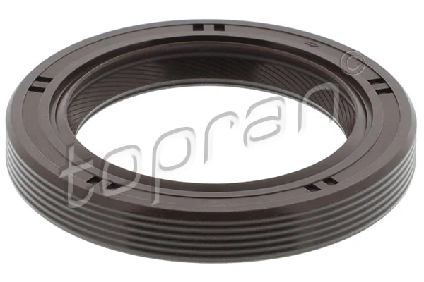 Shaft Seal, crankshaft 300 389
