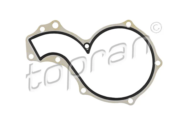 Gasket, water pump 100 214