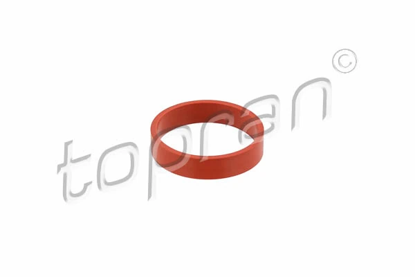 Gasket, intake manifold 501 271