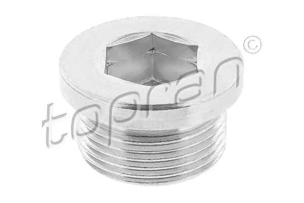 Screw Plug, transmission housing 118 930