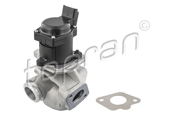 EGR Valve 722 663