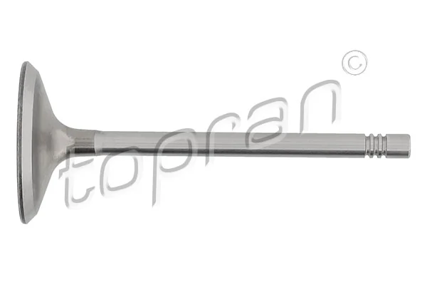 Intake Valve 109 684