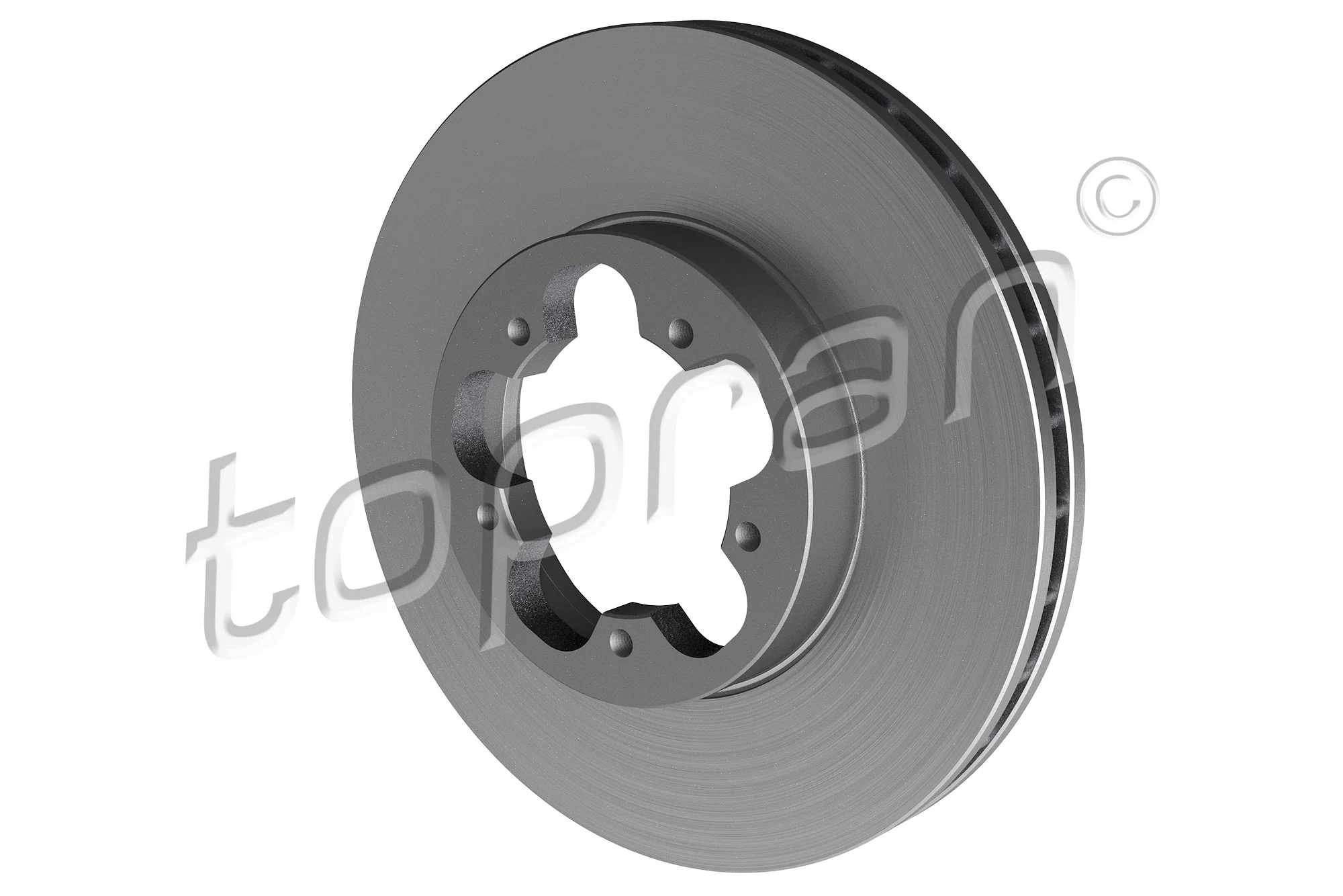 Brake Disc 303 972