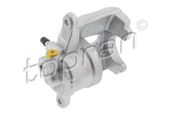 Brake Caliper 209 313