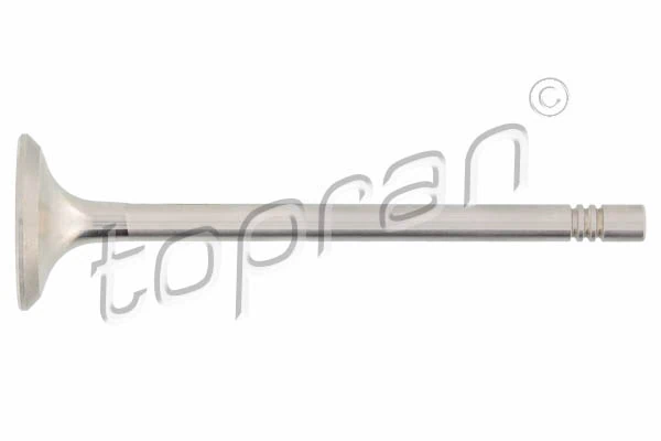 Exhaust Valve 110 211