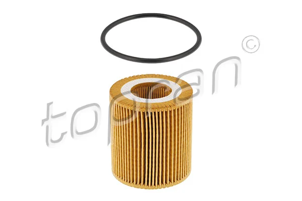 Oil Filter 305 181