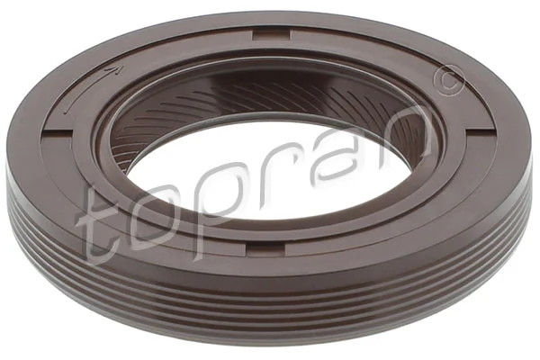 Shaft Seal, camshaft 700 208
