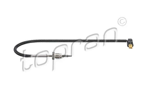 Sensor, exhaust gas temperature 409 584