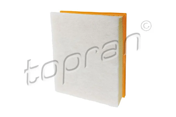Air Filter 117 661